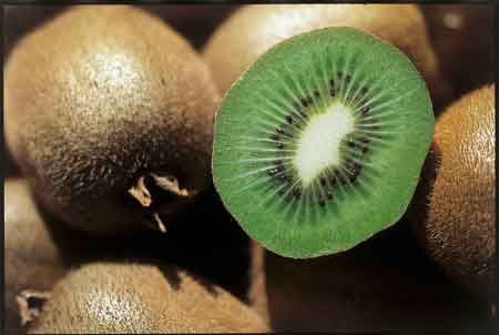 L’Adour, berceau historique du Kiwi européen