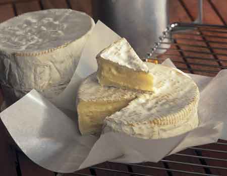 1791-2011, le Camembert de Normandie a 220 ans !