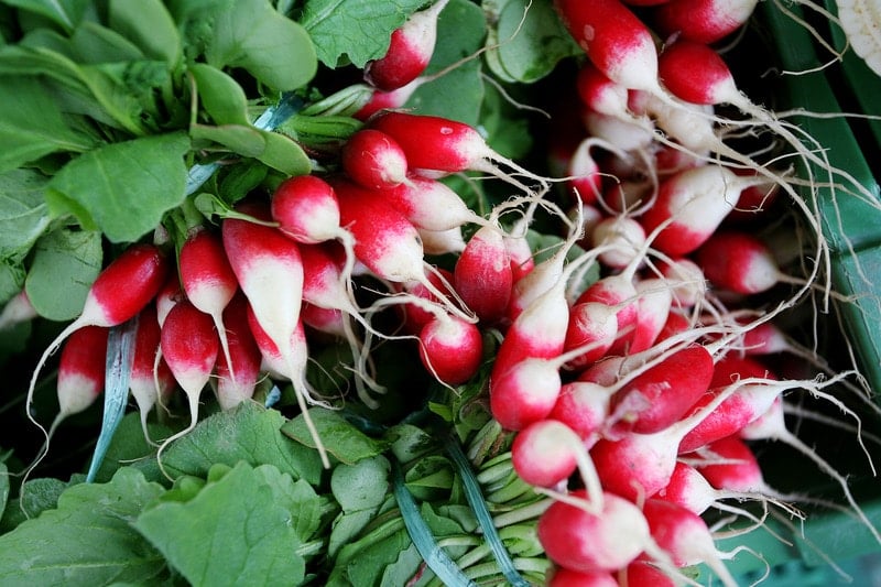 En avant pour le Radis !! Moi, je dis Oui …