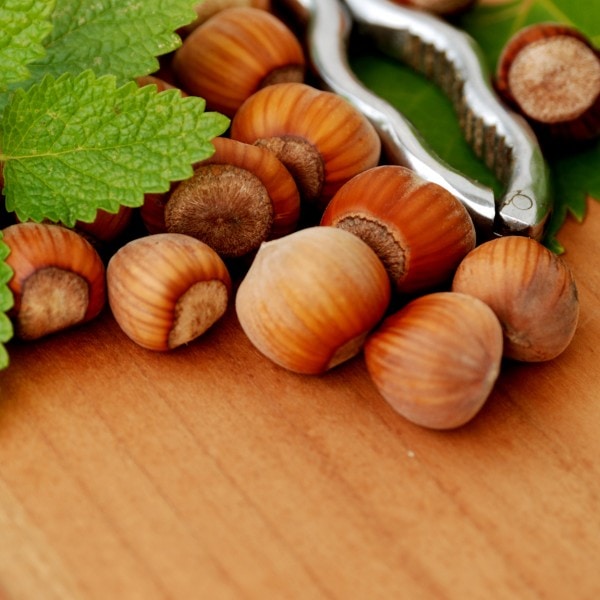 La noisette à toutes les sauces …