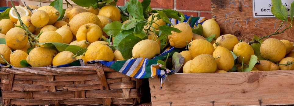 Le Citron de Menton, mariage d’Amour et de Raison
