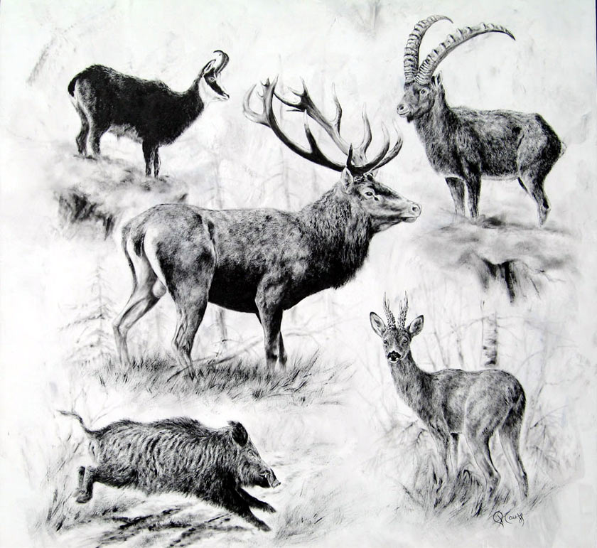 2015 : 3ème Édition « Gibier en Scène »