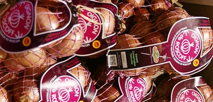 L’Oignon de Roscoff