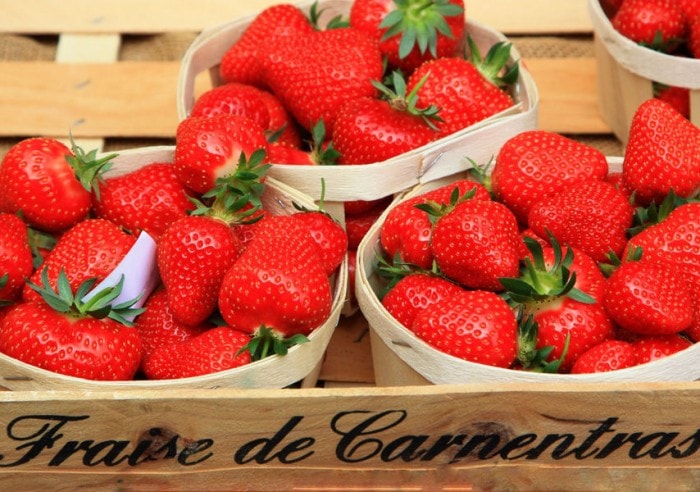 La fraise de Carpentras officiellement protégée
