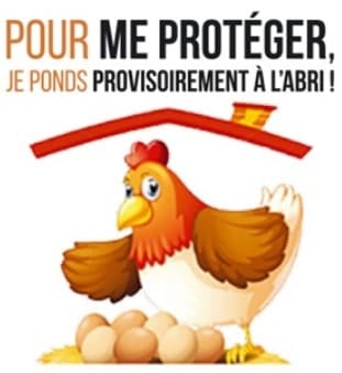 Etiquetage des œufs en Belgique