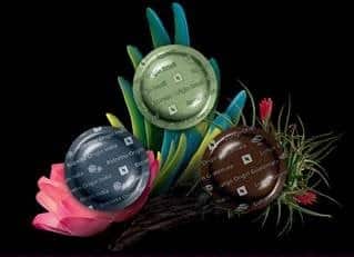 Pure Origine Nespresso Professionnel