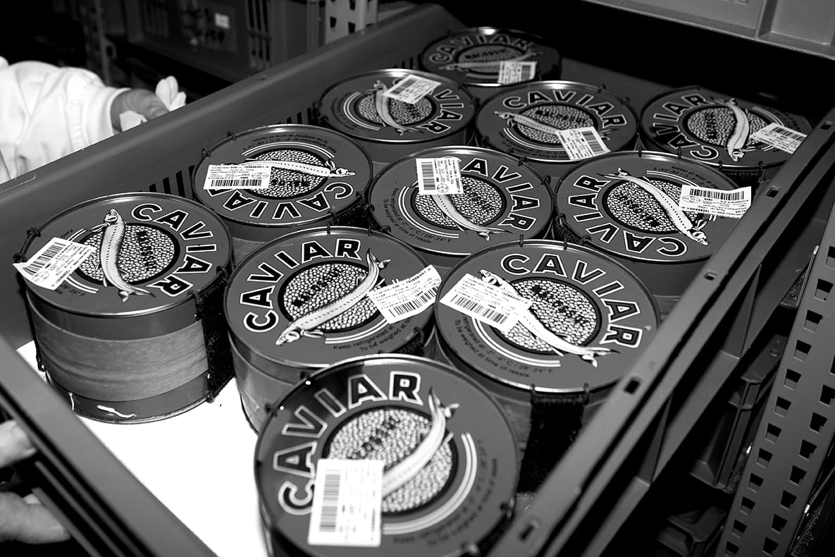 Le caviar, produit saisonnier