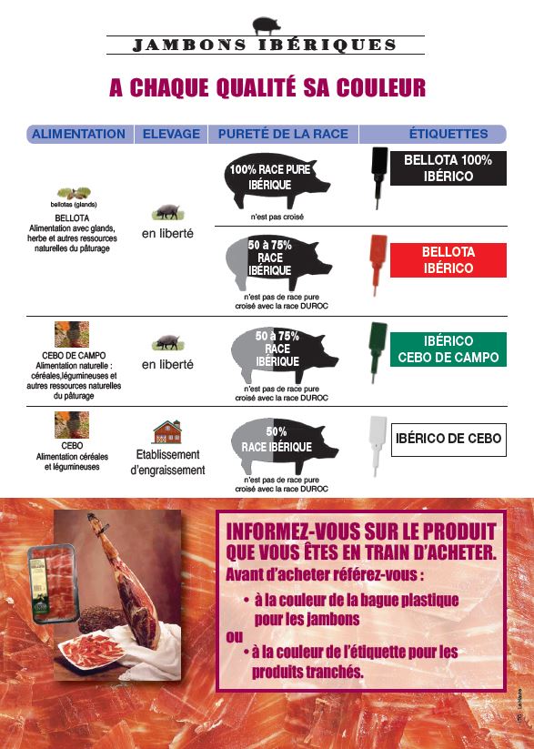 Jambons ibérique, à chaque qualité sa couleur
