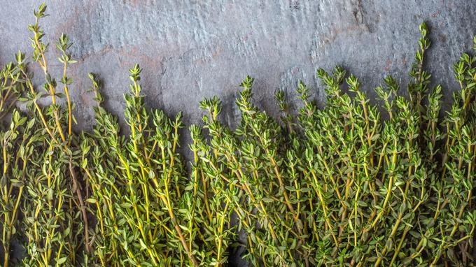 Le thym de Provence obtient une AOP