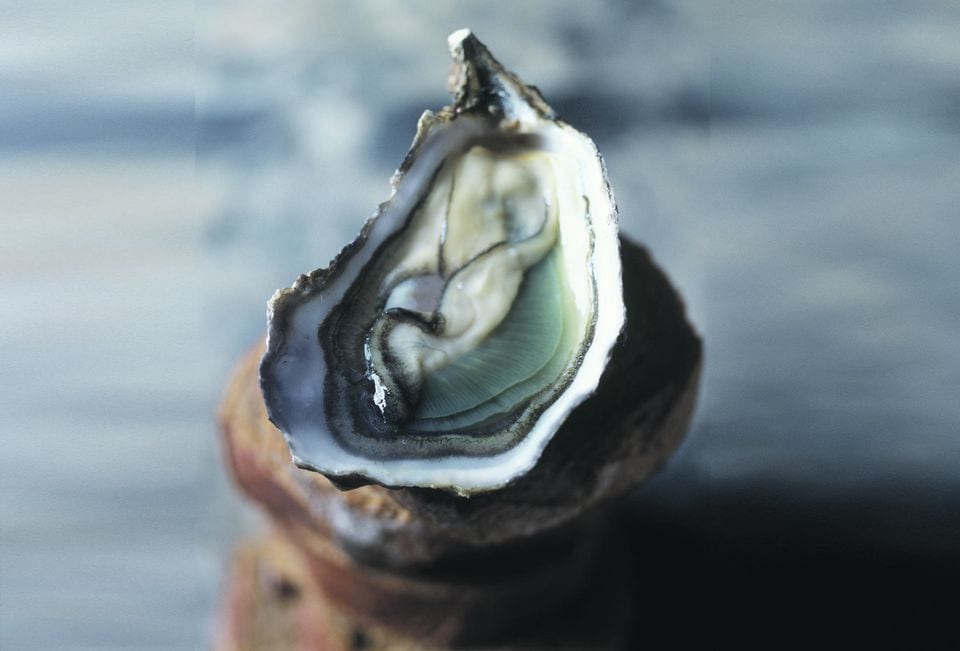 Tout savoir sur l’huître en 10 questions