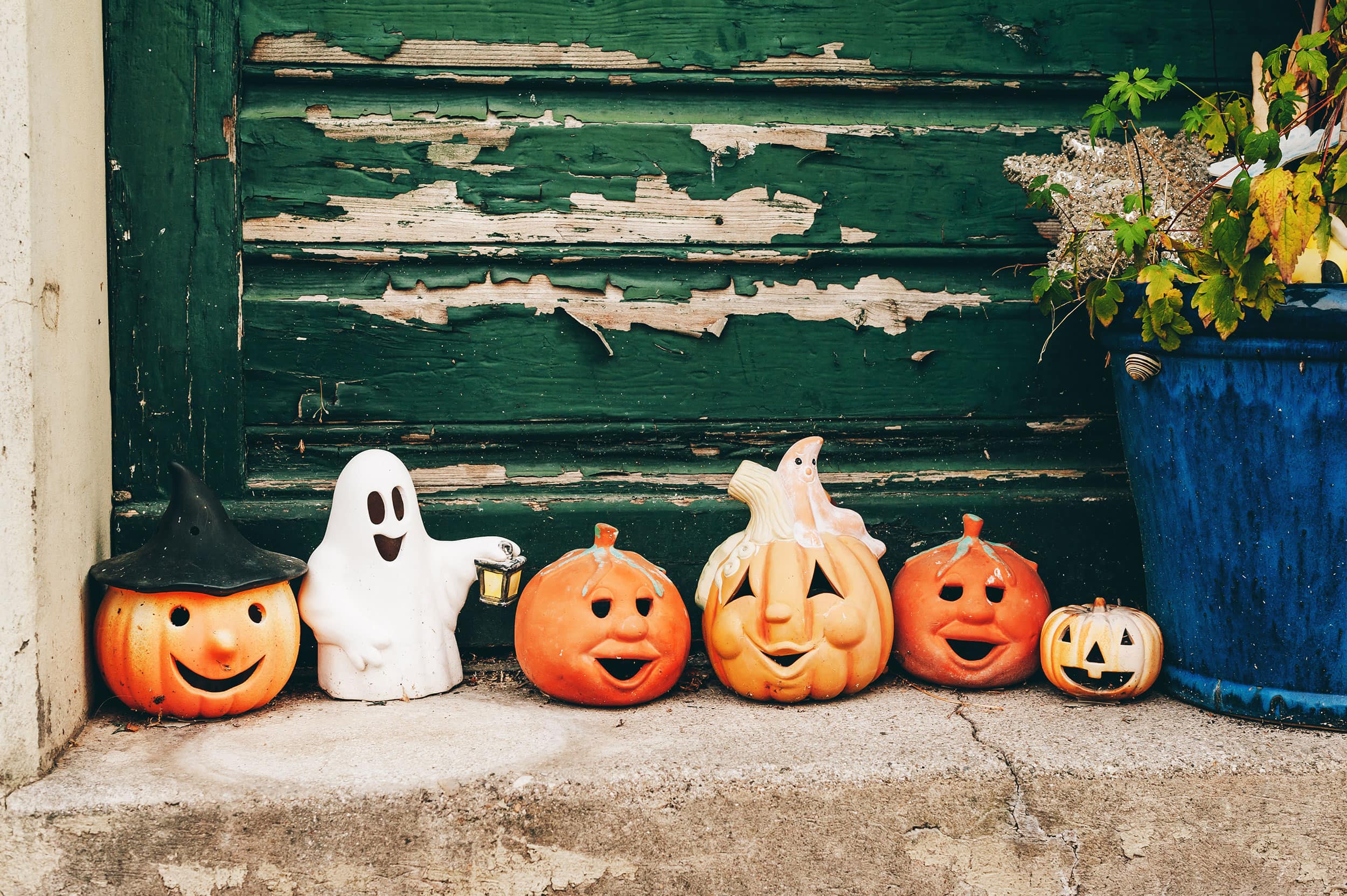 dans_mon_panier_il_y_a_une_citrouille