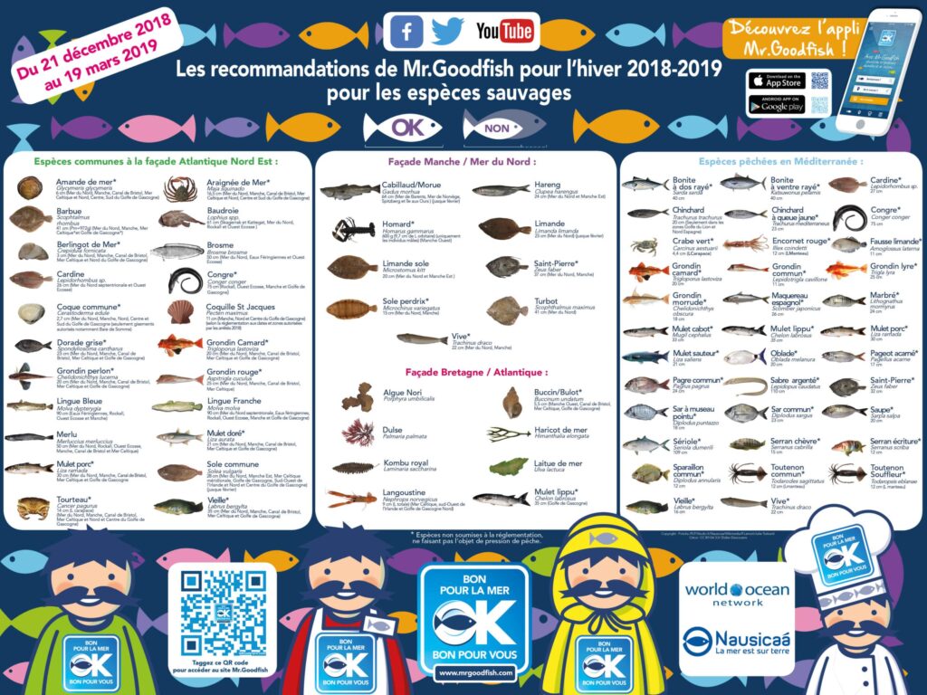 L’hiver avec MrGoodFish