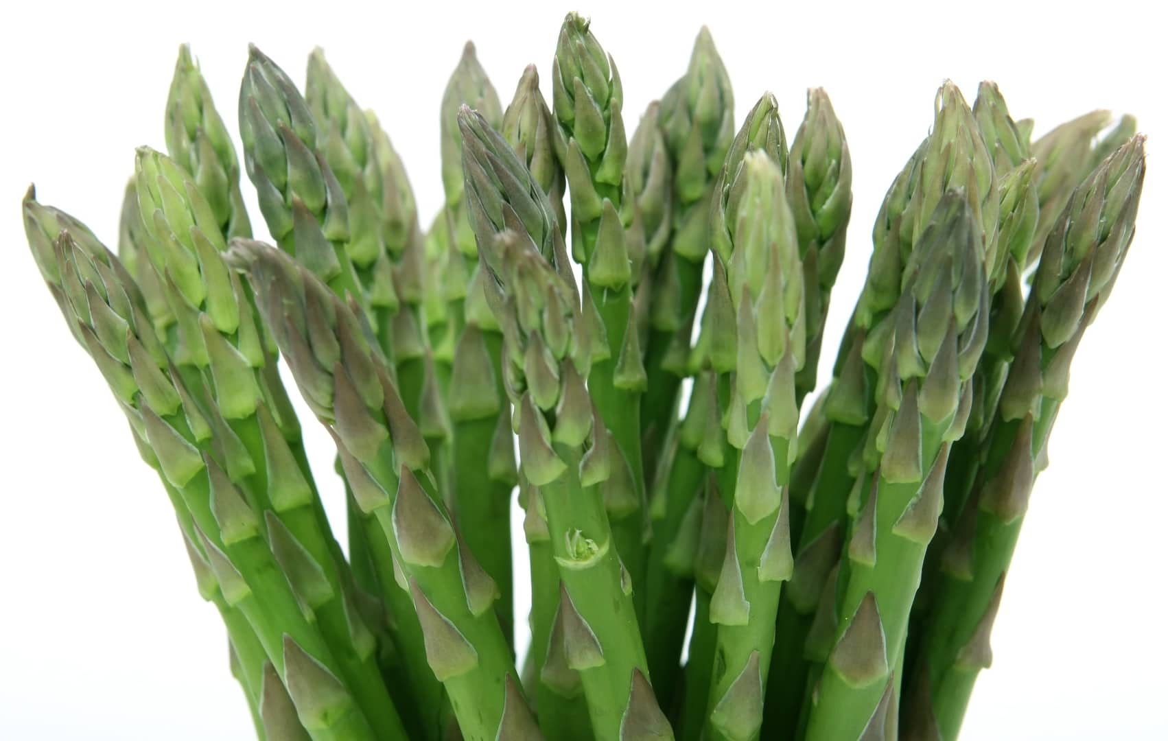 asperge vertes grass-plant-white-fruit-leaf-isolated-819490-pxhere.com