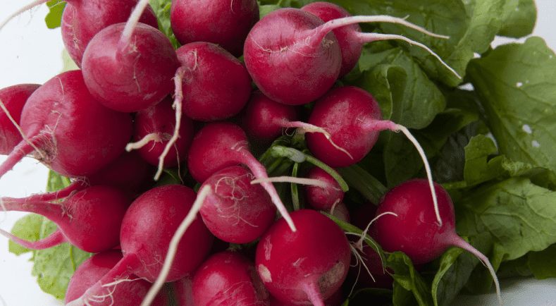 Tout est permis, avec le radis !