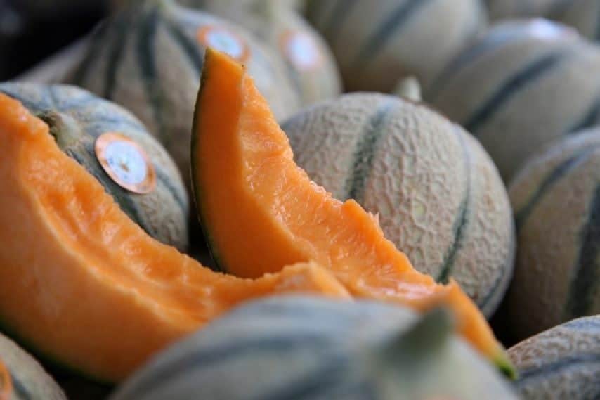 Histoires gourmandes – Le melon