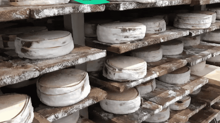 Le retour d’une star de nos plateaux de fromages : le Mont d’Or