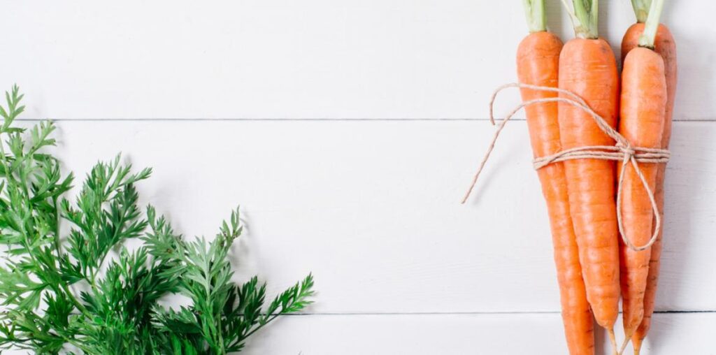 Petite histoire de la carotte