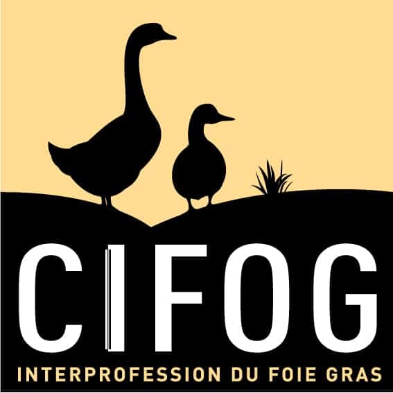 CIFOG_2020_Plan de travail 1