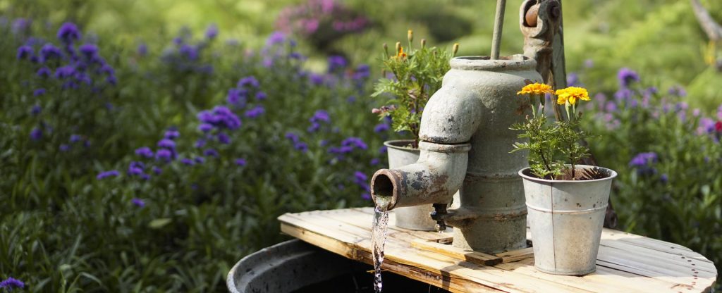 Gourmandise de King Crab aux parfums de layon et girofle