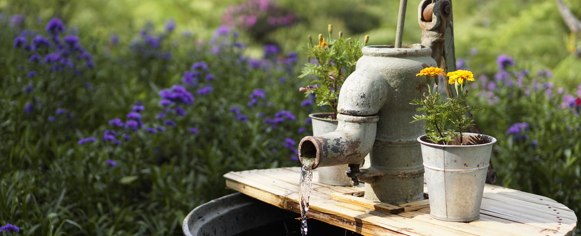 Gourmandise de King Crab aux parfums de layon et girofle