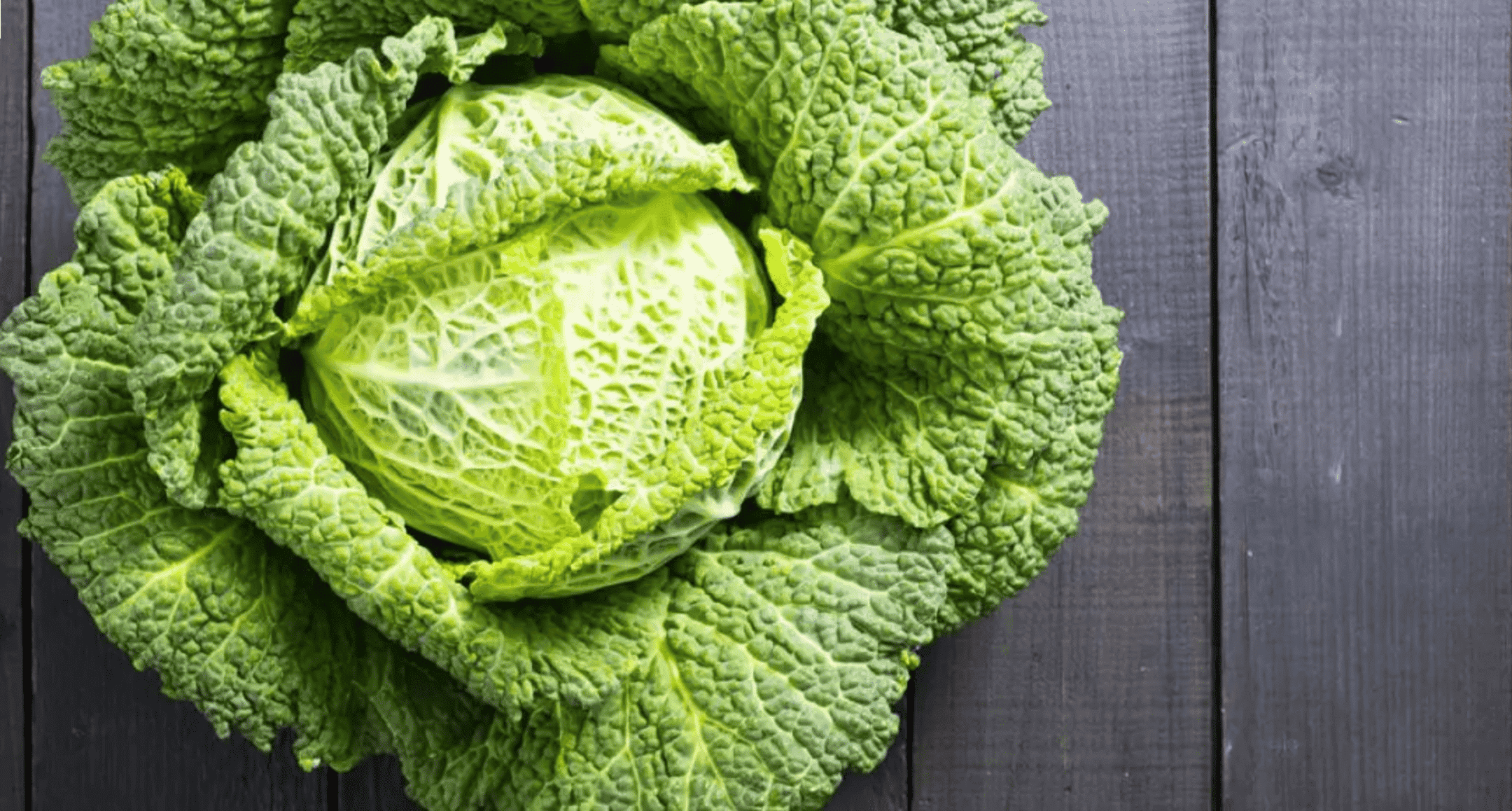 Petite histoire du chou