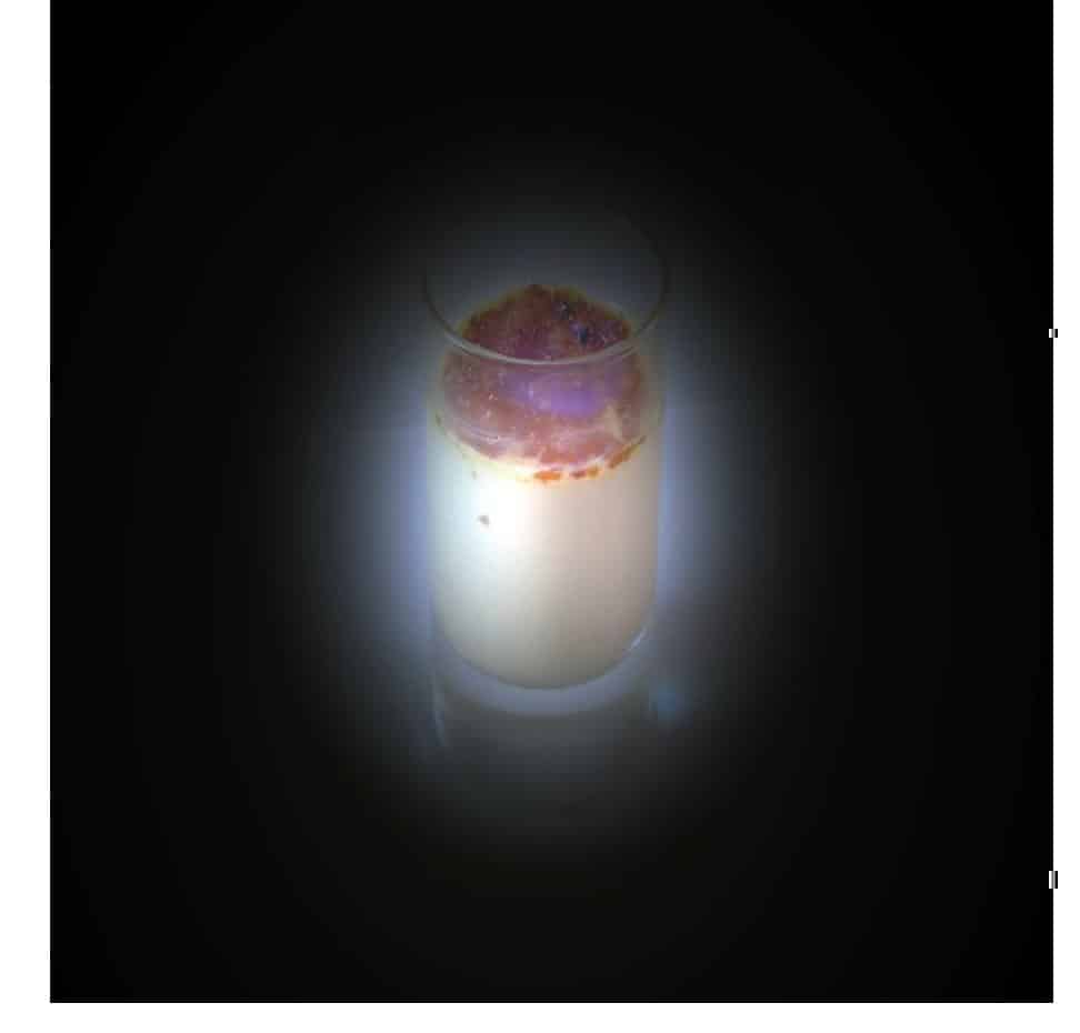 Crème brûlée au foie gras