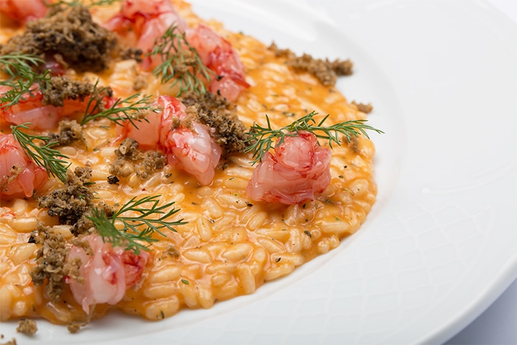 Risotto Carnaroli Campo Dell’Oste « Regina Vittoria » avec crevettes rouges de Sicile Franciacorta et thym