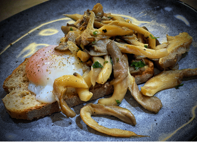 Bruschetta de pleurotes et son œuf parfait