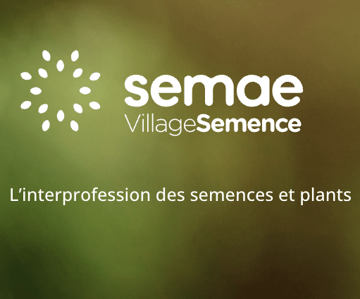 Les chefs Euro-Toques sur le plateau TV de la Semae pour cuisiner les produits issus des semences