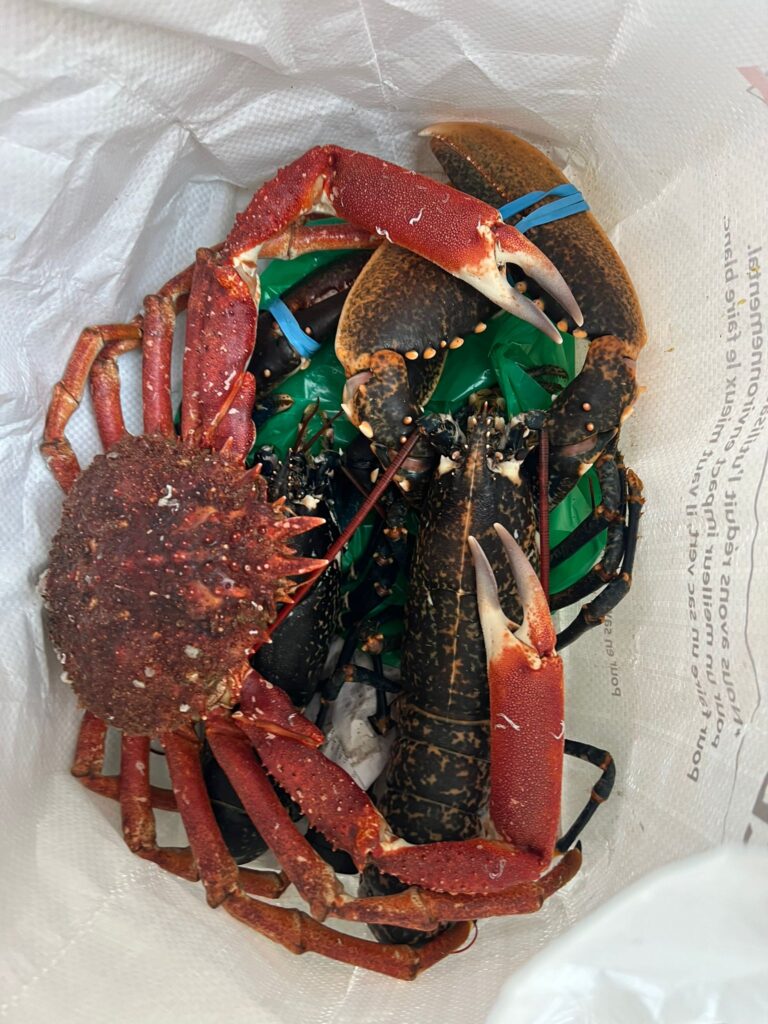 Salade d’araignée de mer aux fraises de Plougastel et tagliatelles d’asperges vertes